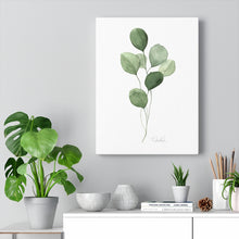 Load image into Gallery viewer, &quot;Eucalyptus II&quot; Canvas Gallery Wrap