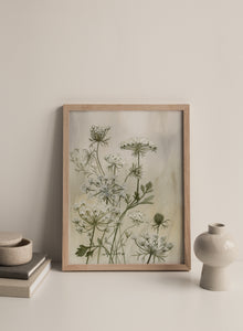 "Queen Anne's Lace" Print