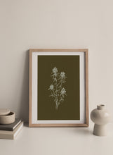 Load image into Gallery viewer, Wildflower Sketch (No.1)