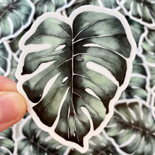 Load image into Gallery viewer, Monstera Leaf Sticker