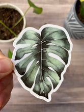 Load image into Gallery viewer, Monstera Leaf Sticker
