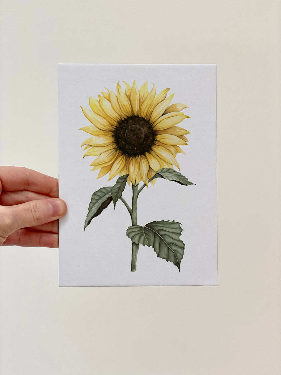 2 • Sketching & Painting a Sunflower in Watercolor on Yupo Paper