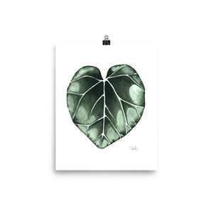 "Cyclamen Leaf" Premium Art Print