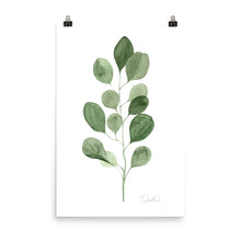 Load image into Gallery viewer, &quot;Eucalyptus I&quot; Premium Art Print
