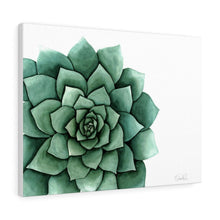 Load image into Gallery viewer, &quot;Succulent&quot; Canvas Gallery Wrap