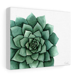 "Succulent" Canvas Gallery Wrap