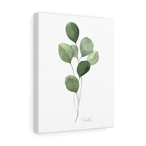 "Eucalyptus II" Canvas Gallery Wrap