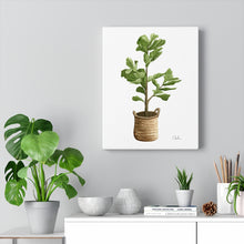 Load image into Gallery viewer, &quot;Fiddle Leaf Fig&quot; Canvas Gallery Wrap