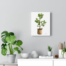 Load image into Gallery viewer, &quot;Fiddle Leaf Fig&quot; Canvas Gallery Wrap