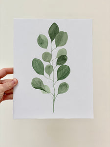 "Eucalyptus I" Watercolor Print