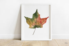 Load image into Gallery viewer, Set of 3 Watercolor Leaves