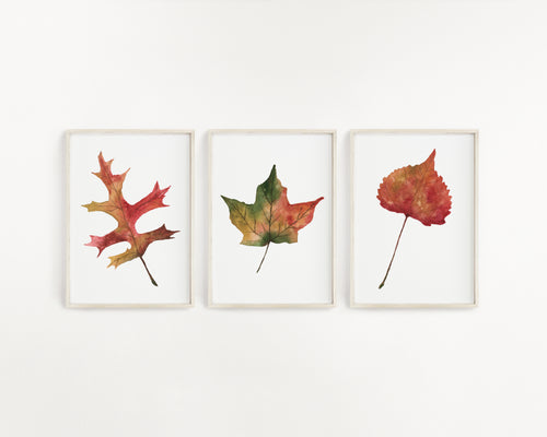 Set of 3 Watercolor Leaves