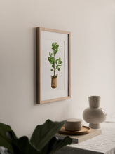 Load image into Gallery viewer, &quot;Fiddle Leaf Fig&quot; Watercolor Print