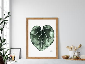 "Cyclamen Leaf" Premium Art Print