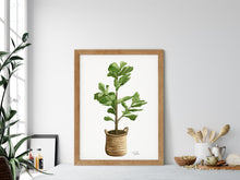 Load image into Gallery viewer, &quot;Fiddle Leaf Fig&quot; Watercolor Art Print