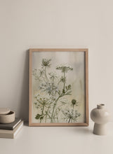 Load image into Gallery viewer, &quot;Queen Anne&#39;s Lace&quot; Print