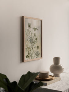 "Queen Anne's Lace" Print