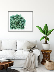 "Succulent" Watercolor Print