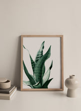 Load image into Gallery viewer, &quot;Sansevieria&quot; Watercolor Print