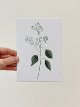 Load image into Gallery viewer, &quot;Seeded Eucalyptus&quot; Watercolor Print