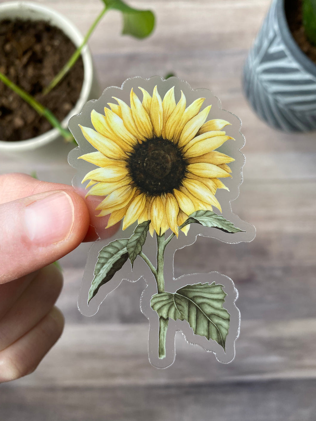 Sunflower Clear Sticker