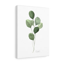 Load image into Gallery viewer, &quot;Eucalyptus II&quot; Canvas Gallery Wrap