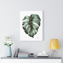 Load image into Gallery viewer, &quot;Monstera Leaf&quot; Canvas Gallery Wrap