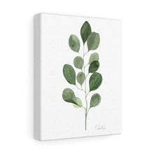 Load image into Gallery viewer, Eucalyptus I Canvas Gallery Wrap