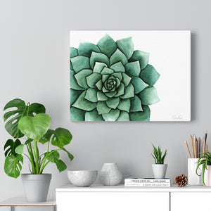 "Succulent" Canvas Gallery Wrap