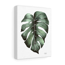 Load image into Gallery viewer, &quot;Monstera Leaf&quot; Canvas Gallery Wrap