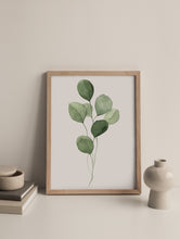 Load image into Gallery viewer, &quot;Eucalyptus II&quot; Watercolor Print