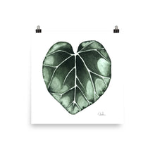 Load image into Gallery viewer, &quot;Cyclamen Leaf&quot; Premium Art Print