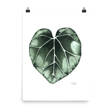 Load image into Gallery viewer, &quot;Cyclamen Leaf&quot; Premium Art Print