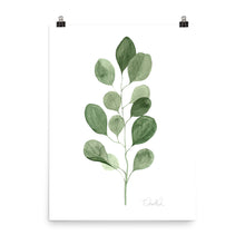 Load image into Gallery viewer, &quot;Eucalyptus I&quot; Premium Art Print