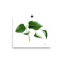 Load image into Gallery viewer, &quot;Pothos Plant&quot; Watercolor Print