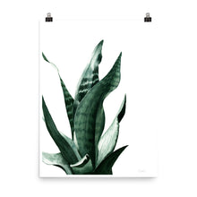 Load image into Gallery viewer, &quot;Sansevieria&quot; Watercolor Print